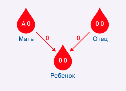 Как получается 4 группа крови положительная